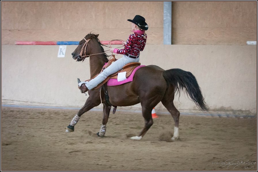 mp-stables 20130921 223