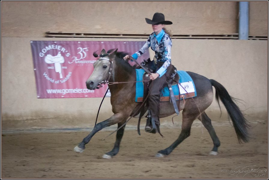 mp-stables 20130921 227