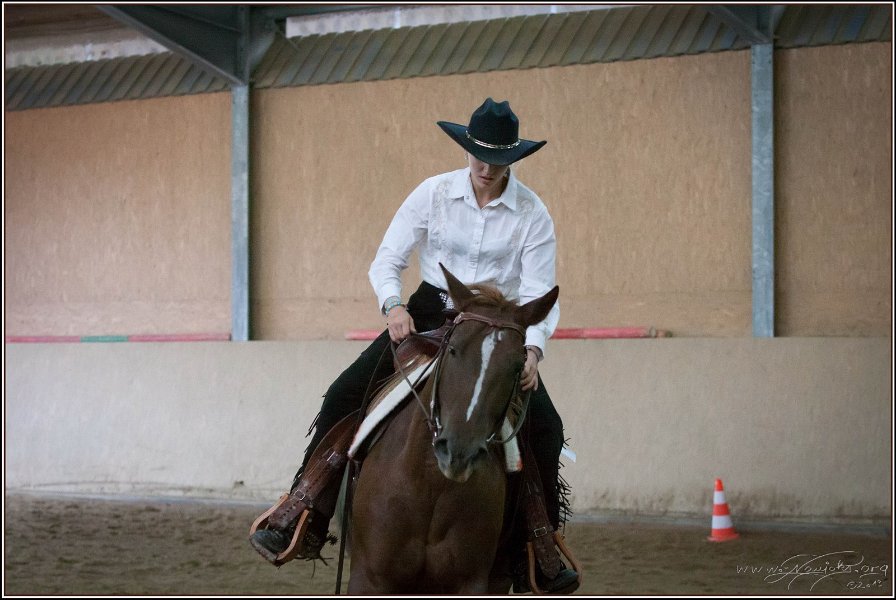 mp-stables 20130921 233