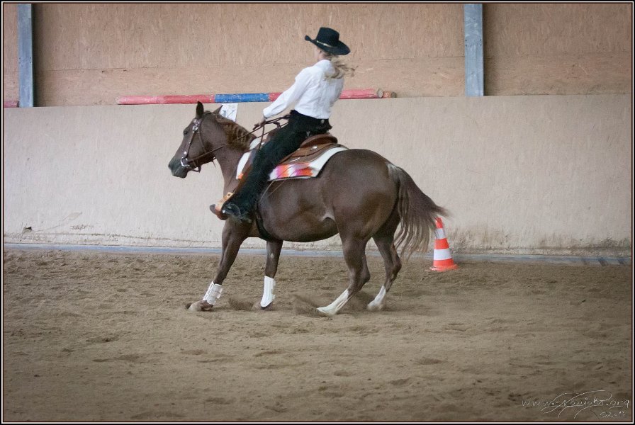 mp-stables 20130921 234