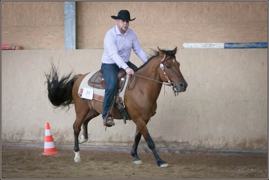 mp-stables 20130921 236