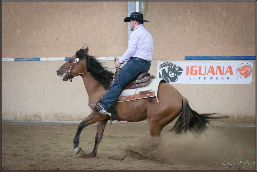 mp-stables 20130921 238