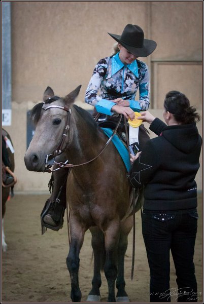 mp-stables 20130921 241