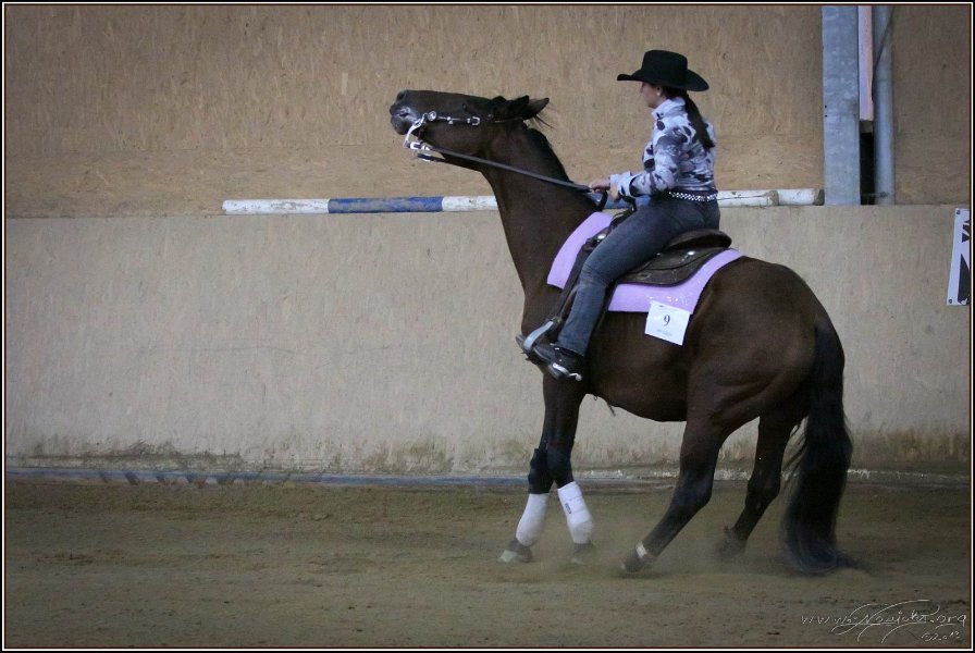 mp-stables 20130921 245