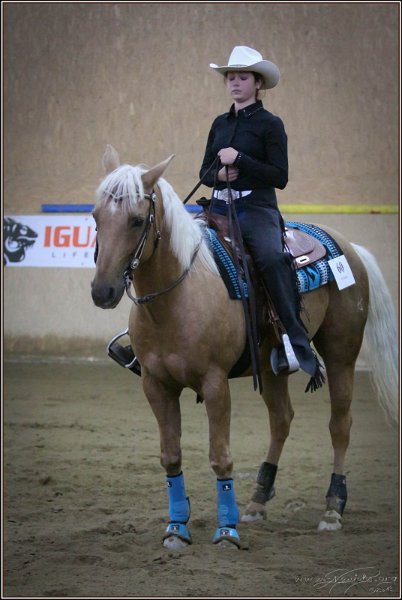 mp-stables 20130921 246