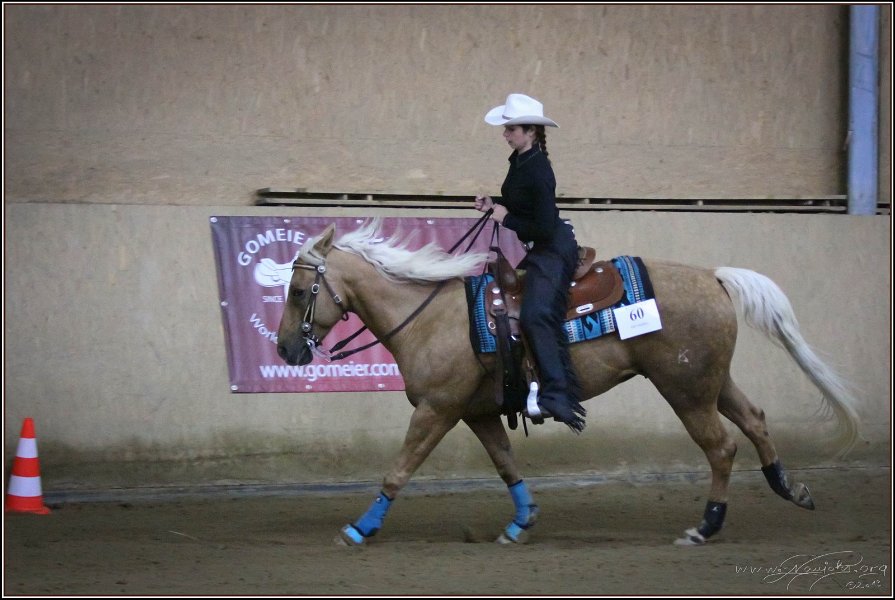 mp-stables 20130921 247
