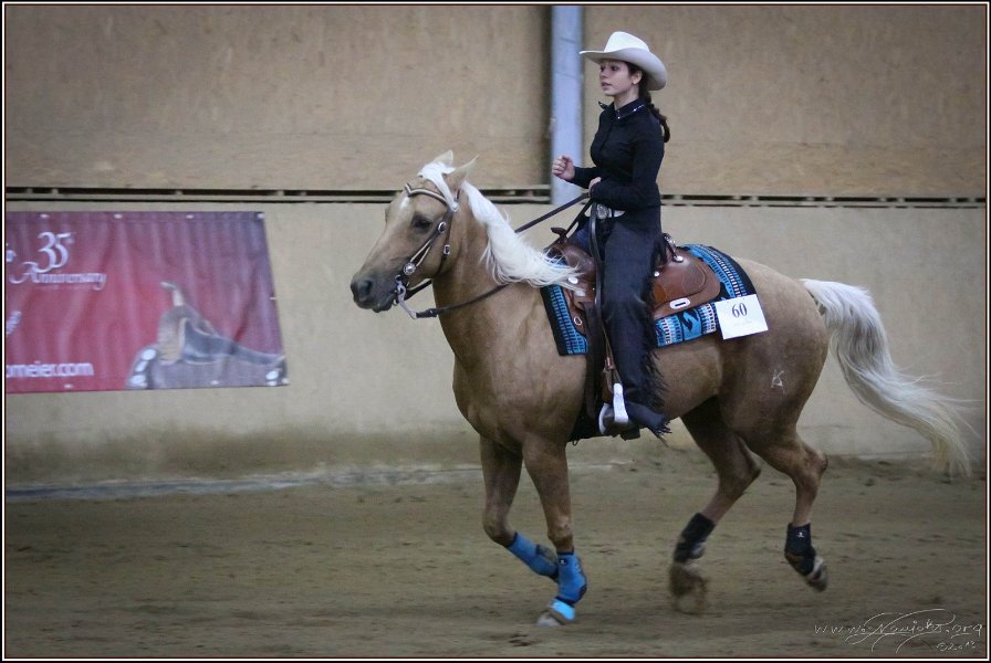 mp-stables 20130921 248