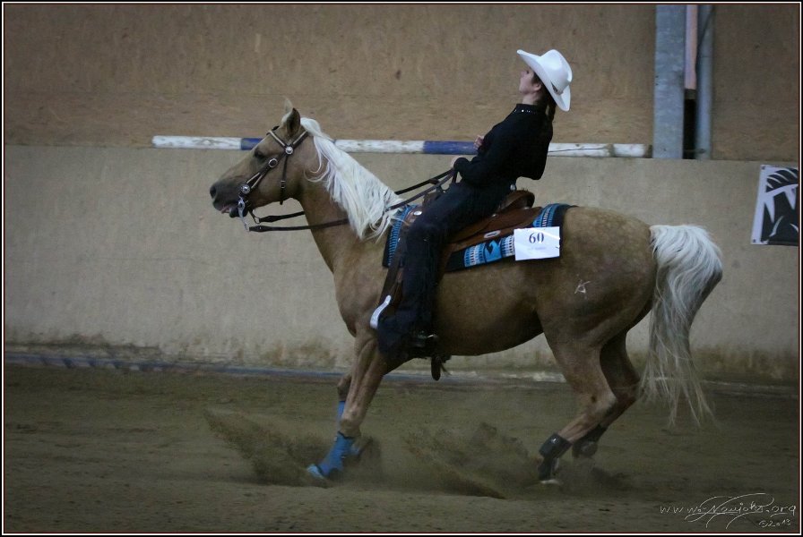 mp-stables 20130921 251