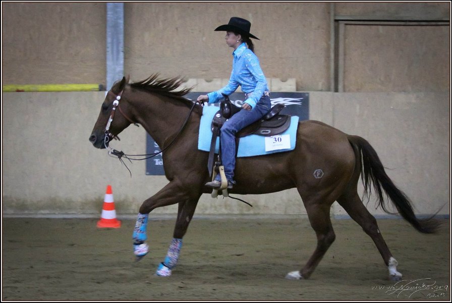 mp-stables 20130921 252