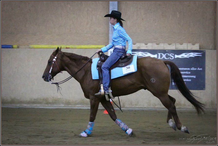 mp-stables 20130921 253