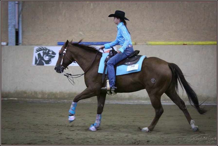 mp-stables 20130921 255