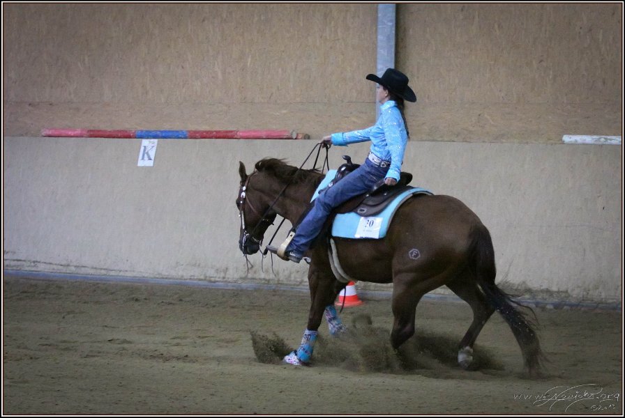 mp-stables 20130921 257