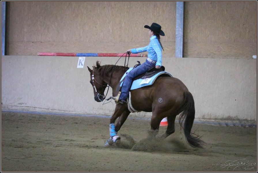 mp-stables 20130921 258