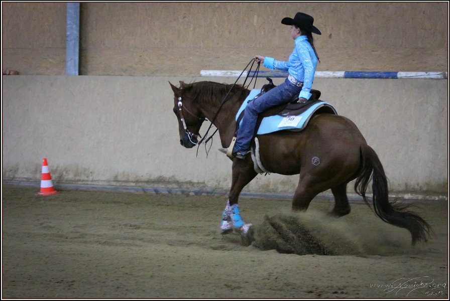 mp-stables 20130921 259
