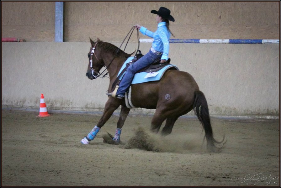 mp-stables 20130921 260