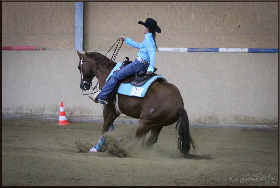 mp-stables 20130921 261