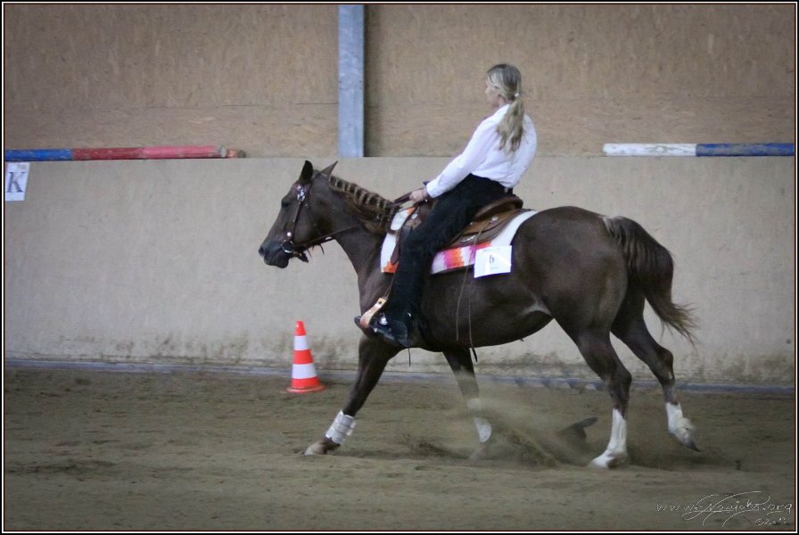 mp-stables 20130921 266
