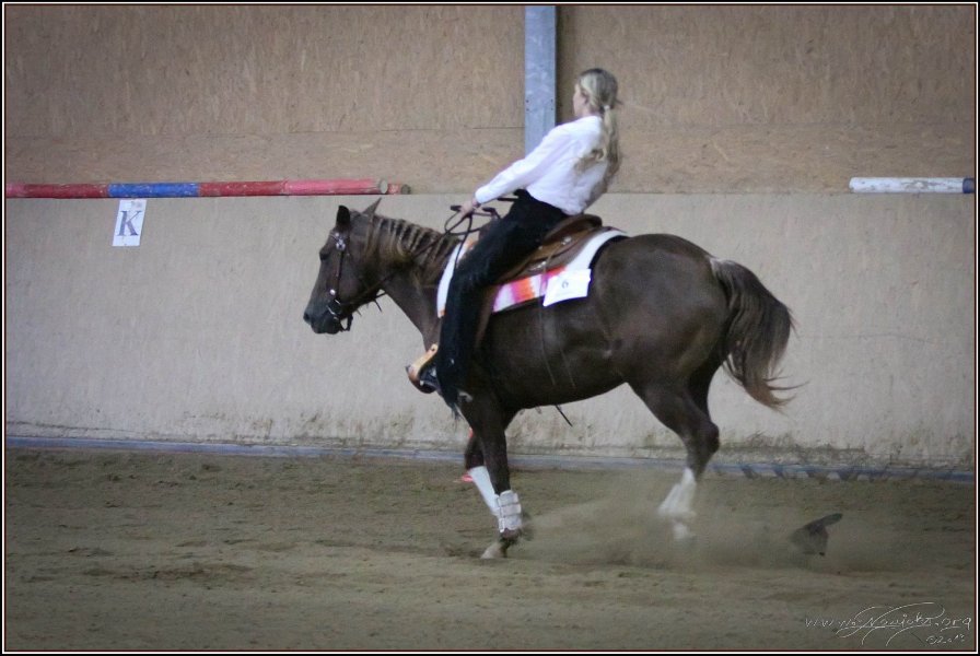mp-stables 20130921 267
