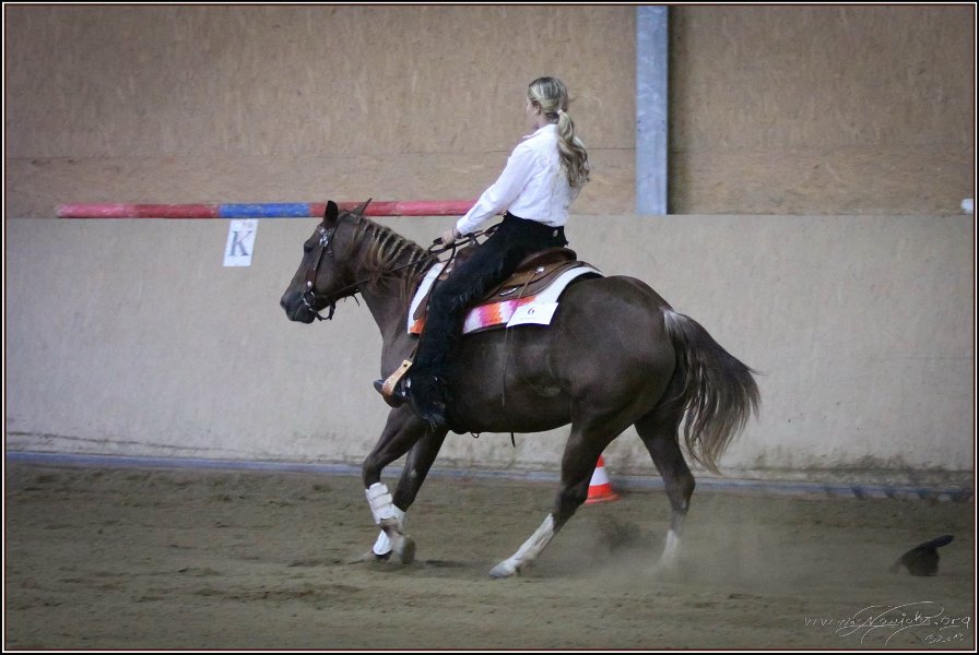 mp-stables 20130921 268