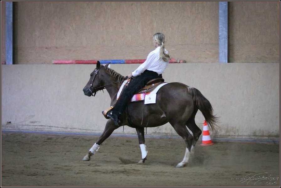 mp-stables 20130921 269
