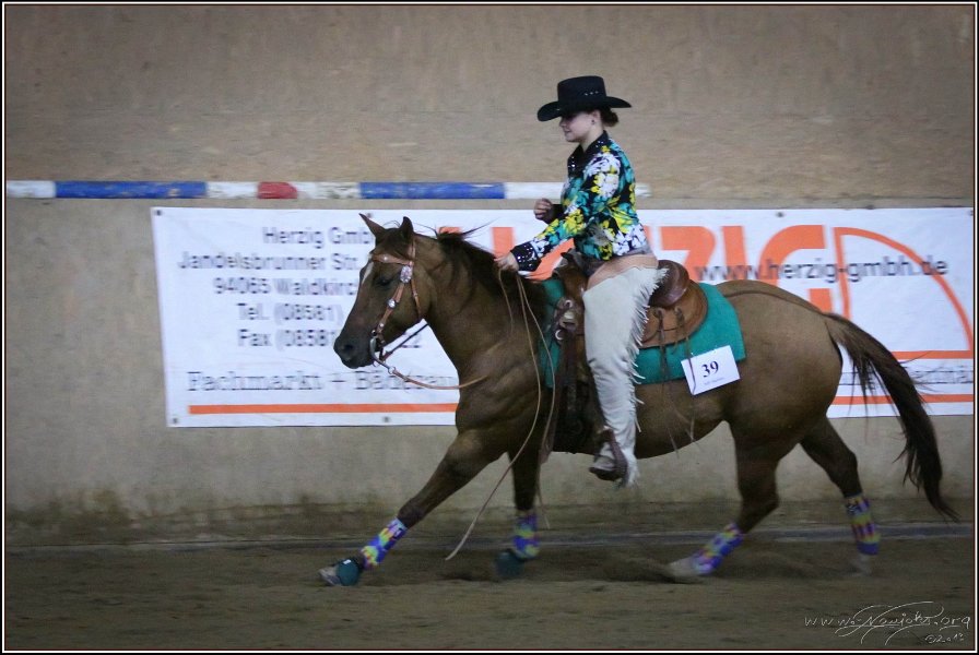 mp-stables 20130921 271