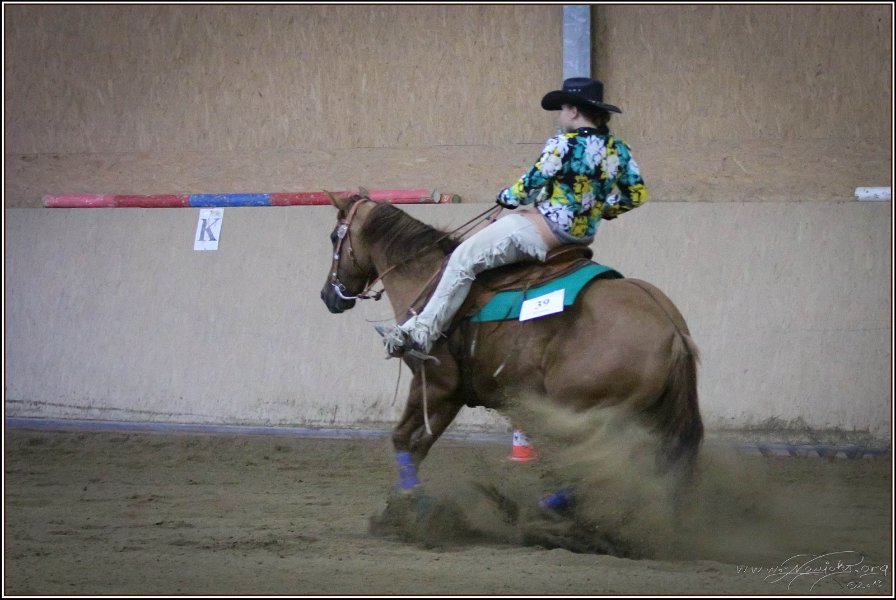 mp-stables 20130921 273