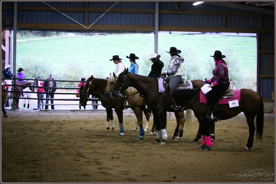mp-stables 20130921 275