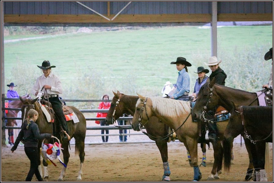 mp-stables 20130921 276