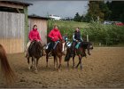 mp-stables 20130921 004