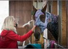 mp-stables 20130921 005