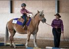 mp-stables 20130921 014