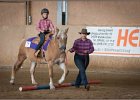 mp-stables 20130921 015