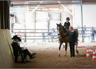 mp-stables 20130921 016