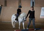 mp-stables 20130921 017