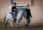 mp-stables 20130921 019