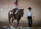 mp-stables 20130921 023
