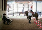 mp-stables 20130921 025