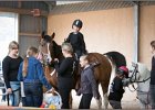 mp-stables 20130921 028
