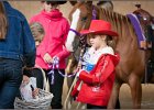 mp-stables 20130921 029