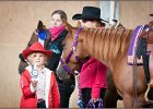 mp-stables 20130921 030