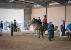 mp-stables 20130921 031