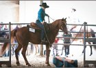 mp-stables 20130921 035
