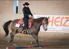 mp-stables 20130921 036