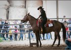 mp-stables 20130921 037