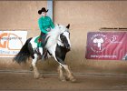 mp-stables 20130921 039