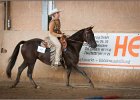 mp-stables 20130921 042