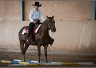 mp-stables 20130921 043
