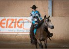 mp-stables 20130921 049