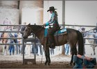 mp-stables 20130921 050
