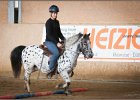 mp-stables 20130921 053